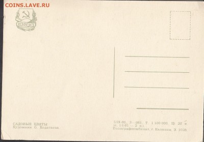СССР ПК 1960 садовые цветы - 158а