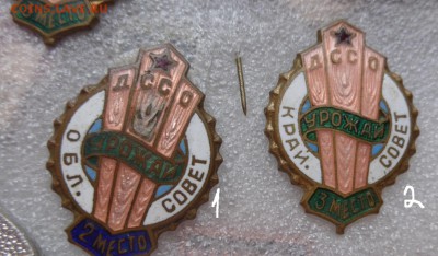 ДССО"Урожай"обл.с  тяжмет,гэ  2 и3 м    до 29.5  в 21-00 мск - DSC00788.JPG