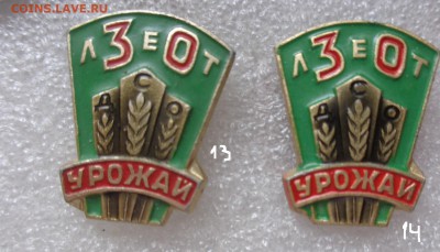 шт  до 29.5  в 21-30 мск - DSC00786.JPG