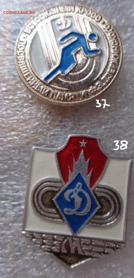 шт  до 29.5  в 21-30 мск - DSC00848.JPG