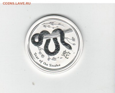 австралия, змея инвистиционка 15гр с 750 до 28.05.18 22.00 - 2018-05-23_001