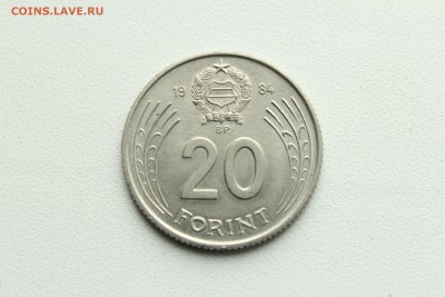  23:00 - IMG_9139.JPG
