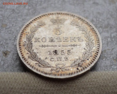 5 копеек 1855 г. СПБ-НI. Штемпельный блеск. - 1 (3)