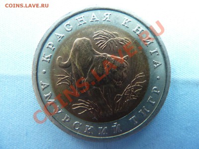 С РУБЛЯ КРАСНАЯ КНИГА АМУРСКИЙ ТИГР 10руб.до 29.04.11 в 22-0 - MEMO0001.JPG