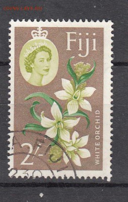 Фиджи цветы 1м - 218