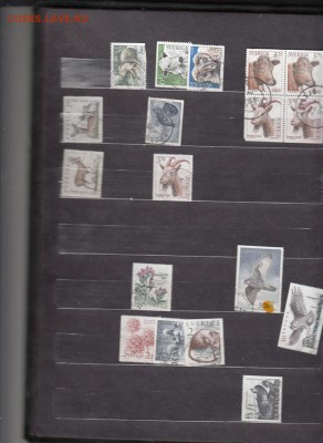 Кляссер для марок - 4а