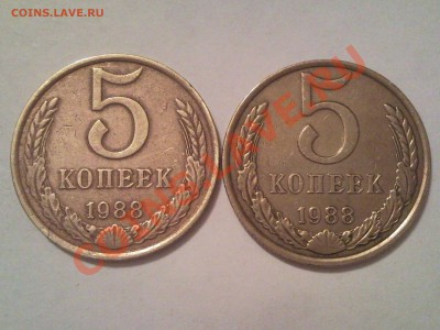 помогите опознать разновидности. если они есть - 1988_1