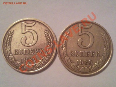 помогите опознать разновидности. если они есть - 1989_1