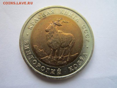 КК КОЗЕЛ 5 руб. 1991 до 01.06.18 в 22:30 - IMG_1012.JPG