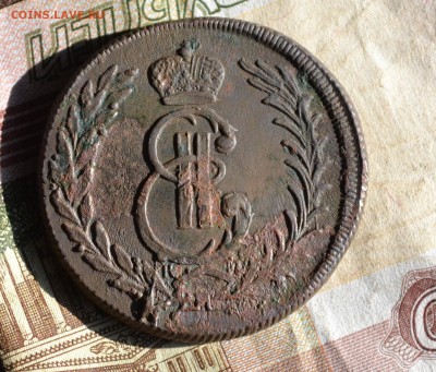 5 копеек 1776 км, сибирь. - DSC_2207.JPG