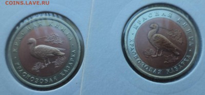 КК ,Алания-магнит,РМ на мультипликацию чб - DSC03145.JPG