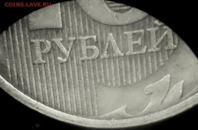 Определение разновидностей от Корс. - DSC_0180.JPG