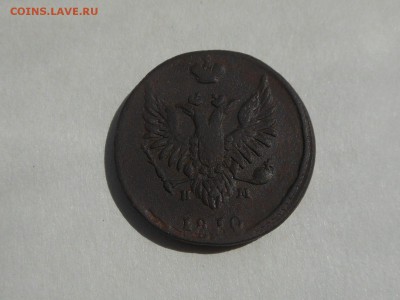 2 коп 1810 пчелка до 3.06.2018 в 21-00 МСК - RSCN0892.JPG