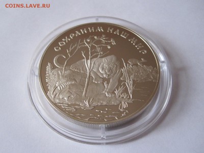 25 рублей Амурский тигр 1996 03.06 22:05 - IMG_1385.JPG