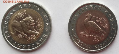 Красная книга 1992 г, Амурский тигр, до 1.06., в 22:00 - IMG_4121 (1).JPG