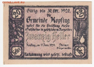 Нотгельд-Копфинг 20 геллеров 1920 г. до 06.06 в 22.00 - IMG_20180531_0004