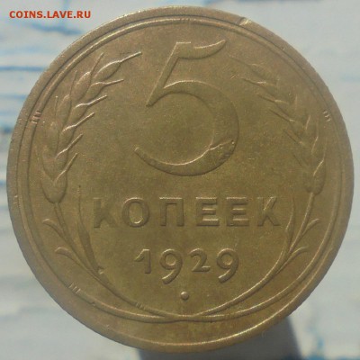 5 копеек 1929 года до 03.06.18г. 22.00.мск. - DSC08016.JPG
