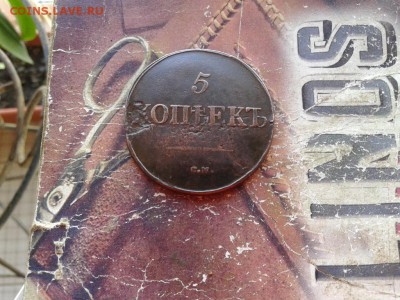 5 копеек 1831 СМ до 03.06.2018 - 1831 (10) - копия