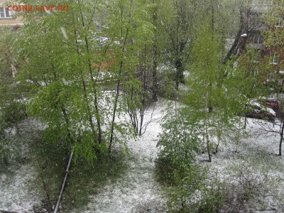 перекличка городов по температуре - IMG_2496_