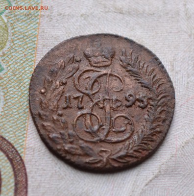 полушка 1795 км - DSC_2247а