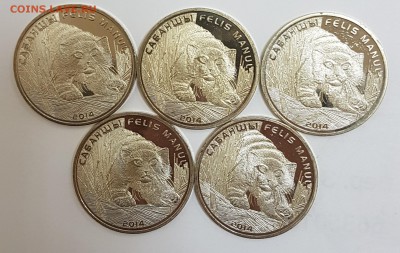 Казахстан 5 монет Манул с 200р до 04.06.2018 в 22.00 - манул1
