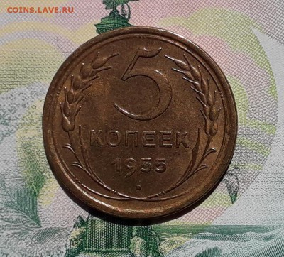 5 копеек 1955 до 05-06-2018 до 22-00 по Москве - 5 55 Р