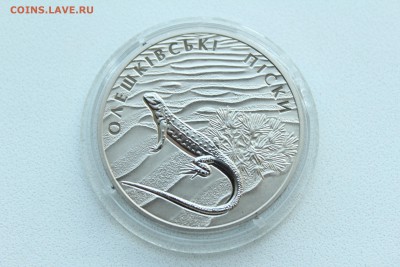  23:00 - IMG_9522.JPG
