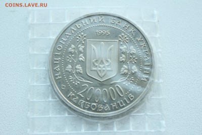  23:00 - IMG_9527.JPG