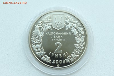  23:00 - IMG_9536.JPG