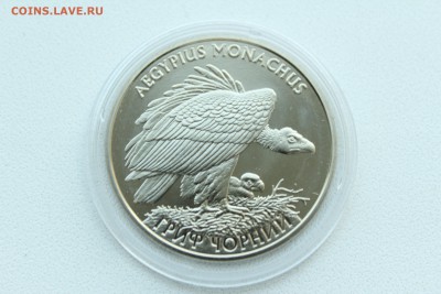  23:00 - IMG_9535.JPG