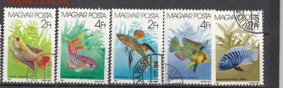 Венгрия 1987 рыбки 5м - 82