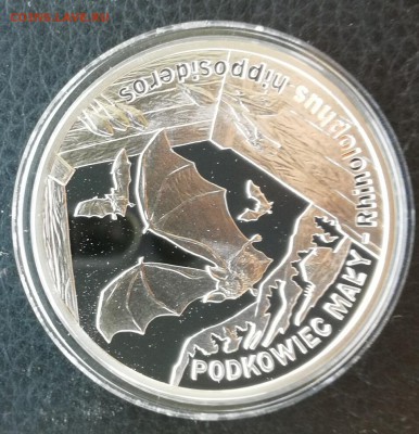 Летучая мышь Польша  2010 г. до 10.06. В 20.00 старт 1100 - IMG_20180603_110216