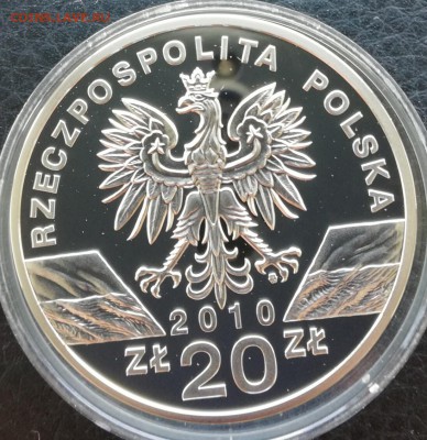 Летучая мышь Польша  2010 г. до 10.06. В 20.00 старт 1100 - IMG_20180603_110155