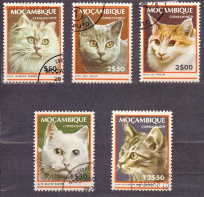 Мозамбик, кошки, 1979г, гашеные, до 06.06.18 22:00 МСК - мозамбик кошки