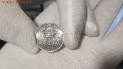 1 крона Австро-Венгрия 1916 год  8.06.2018 до 20:00 - r6hDNNZ1QPY