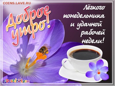 делает - прямо сейчас !!! - IMG_5926.JPG