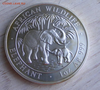 Сомали 100 шиллингов 2007 Слон до 7.06 в 22.10 - 014.JPG