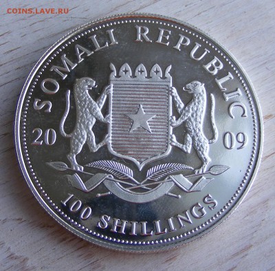 Сомали 100 шиллингов 2009 СЛОН до 7.06 в 22.10 - 019.JPG