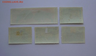 СССР. 1969 г. Беловежская пуща.   До 11.06.. - IMG_6680.JPG