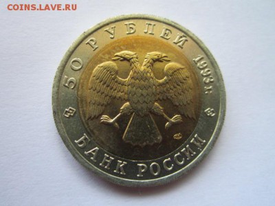 КК 1993 МЕДВЕДЬ анц 50 руб. до 10.06.18 в 22:30 - IMG_1078.JPG