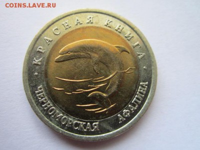 КК 1993 АФАЛИНА анц 50 руб. до 10.06.18 в 22:30 - IMG_1085.JPG