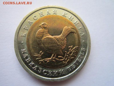 КК 1993 ТЕТЕРЕВ анц 50 руб. до 10.06.18 в 22:30 - IMG_1083.JPG