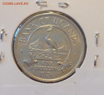 УГАНДА - ВЕНЦЕНОСНЫЙ ЖУРАВЛЬ до 12.06, 22.00 - Уганда 1 шиллинг 1976 Венценосный журавль_1