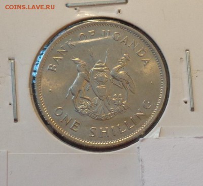 УГАНДА - ВЕНЦЕНОСНЫЙ ЖУРАВЛЬ до 12.06, 22.00 - Уганда 1 шиллинг 1976 Венценосный журавль_2