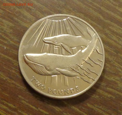 Ю.Георгия и Ю.Сэндвичевы о-ва - СИНИЕ КИТЫ до 12.06, 22.00 - Юж. Джорджия и Юж. Сандвичевы о-ва 2ф 2013 Синие Киты_1