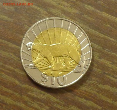 УРУГВАЙ - ПАНТЕРА БИМ до 12.06, 22.00 - Уругвай пантера БИМ_1