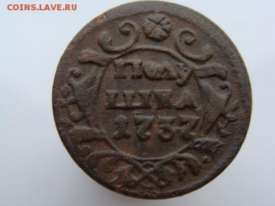 Полушка 1737 год. Гурт гладкий. РЕЖЕ до 10.06.2018 г - 0614.JPG