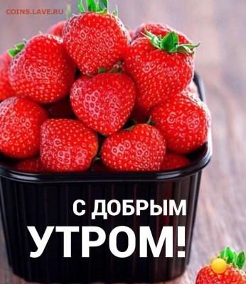 делает - прямо сейчас !!! - 20be3979-3f11-4213-aa2d-86349915ac8c