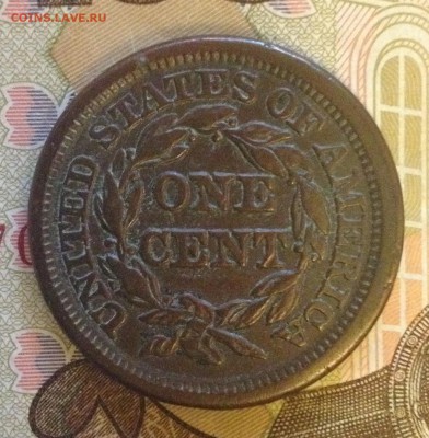 Монеты США 19в на оценку - image
