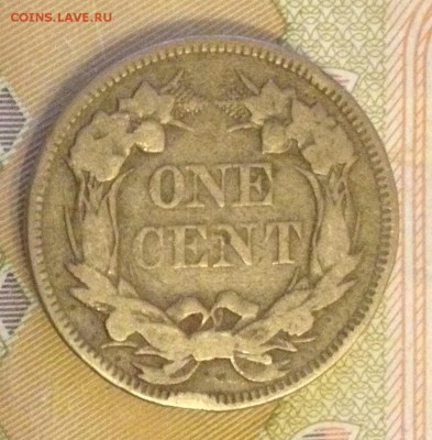 Монеты США 19в на оценку - image